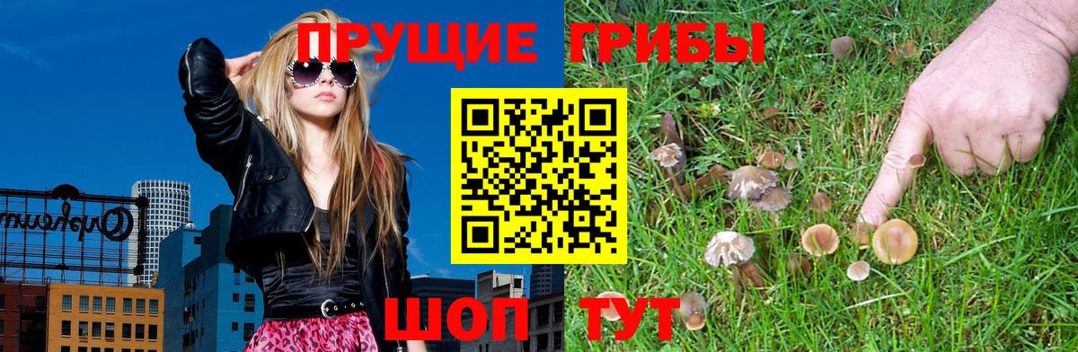 где найти наркотики  Псилоцибиновые грибы мицелий  Вход с VPN  Луга 