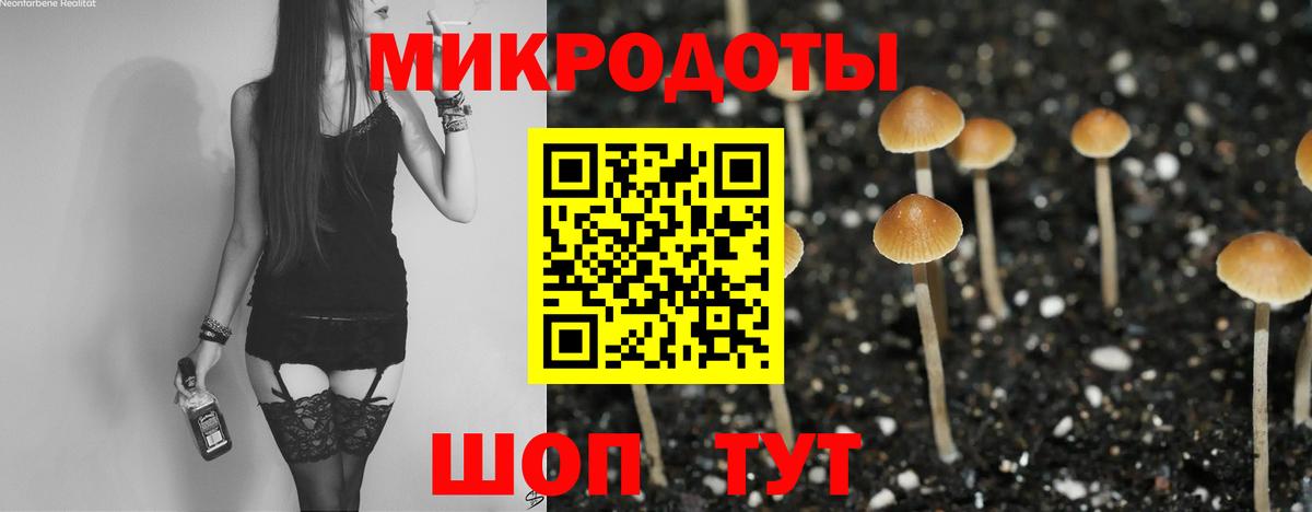 Псилоцибиновые грибы прущие грибы Луга